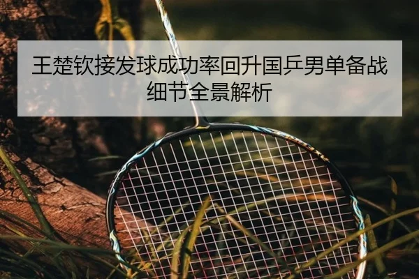 王楚钦接发球成功率回升国乒男单备战细节全景解析